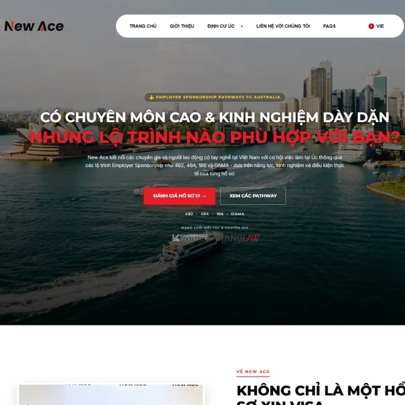 New Ace website